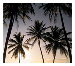 Proactive Properties, LLC